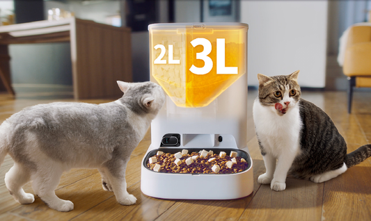 A Guide to Choosing the Perfect Automatic Pet Feeder