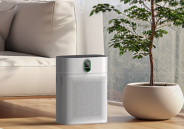 5 Best HEPA Filter Air Purifiers in the US