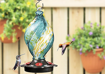 5 Best Wild Bird Feeders in the US